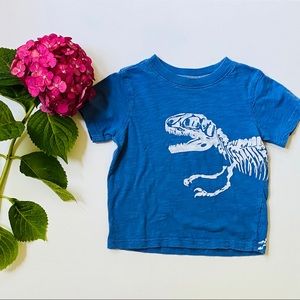 Carter’s Dinosaur Blue T-shirt (2T)